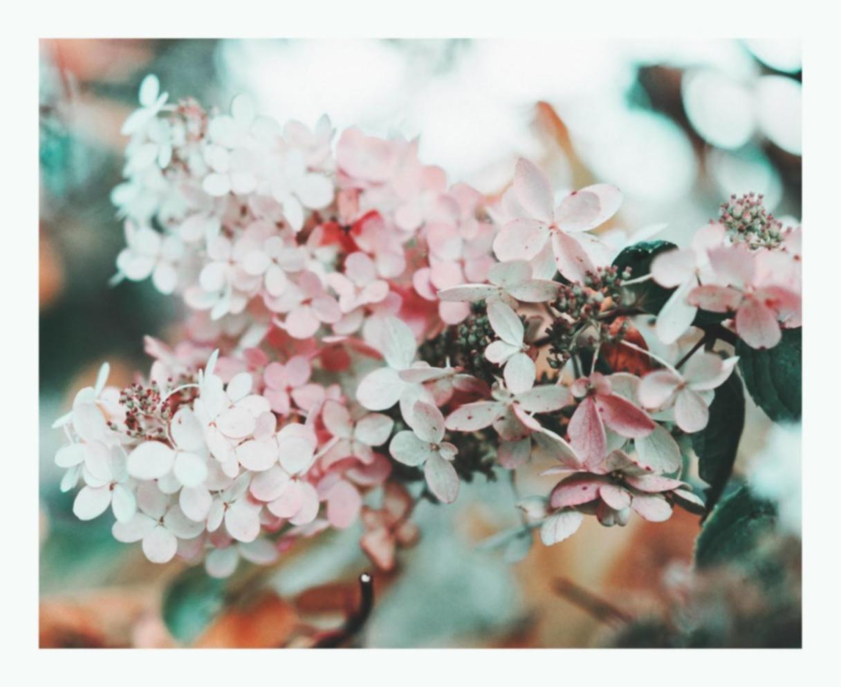Elegant floral arrangement with fresh seasonal flowers